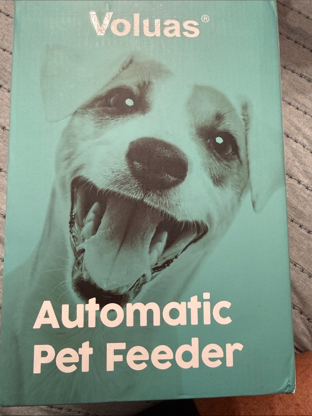 Automatic Pet Feeder — Mint Green